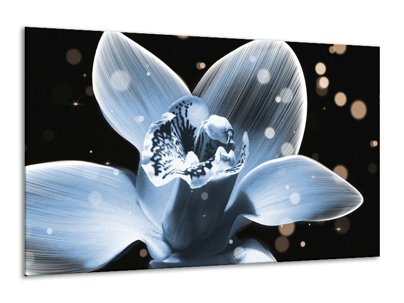 Canvas schilderij Iris | Blauw, Zwart | 120x70cm 1Luik
