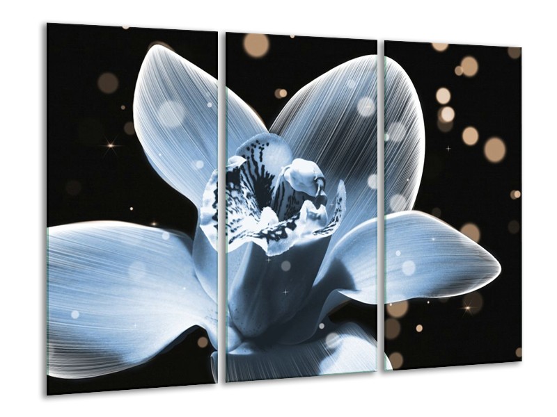 Canvas schilderij Iris | Blauw, Zwart | 120x80cm 3Luik