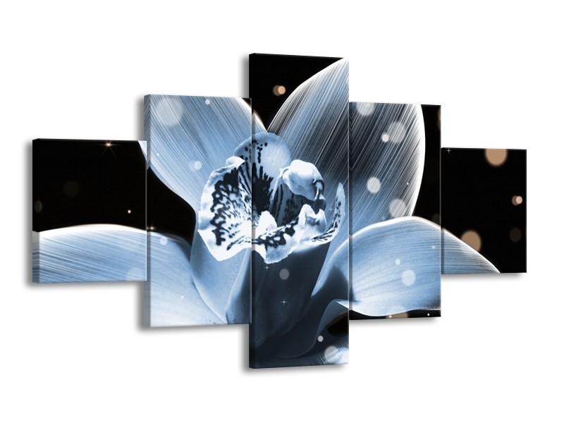 Canvas schilderij Iris | Blauw, Zwart | 125x70cm 5Luik