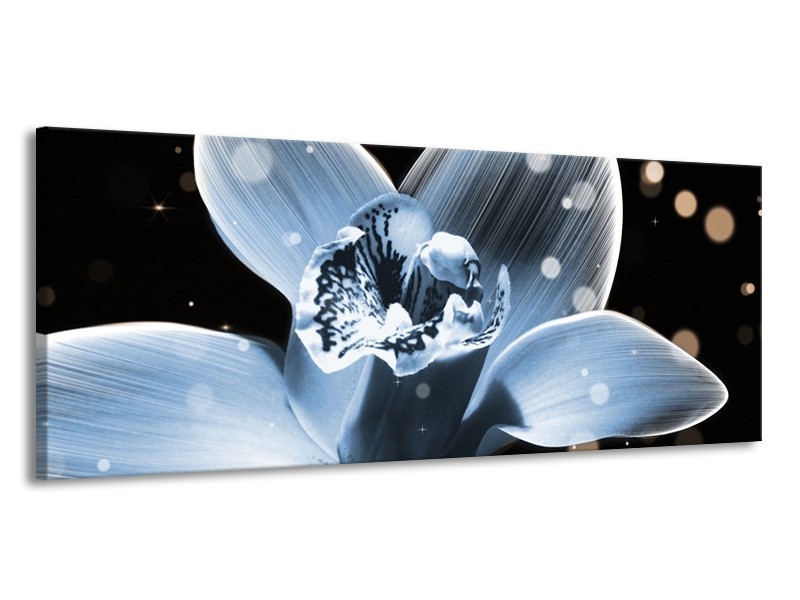 Canvas schilderij Iris | Blauw, Zwart | 145x58cm 1Luik