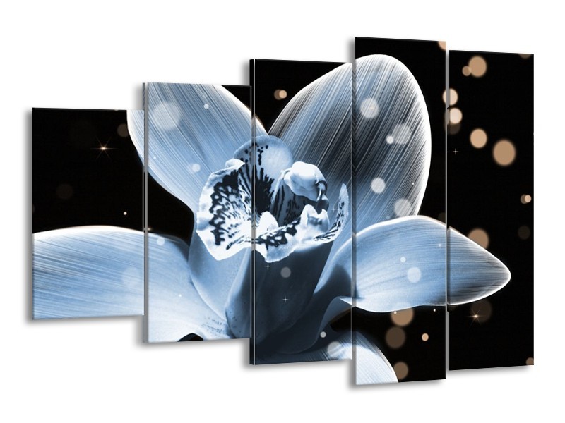Canvas schilderij Iris | Blauw, Zwart | 150x100cm 5Luik