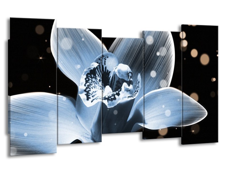 Canvas schilderij Iris | Blauw, Zwart | 150x80cm 5Luik