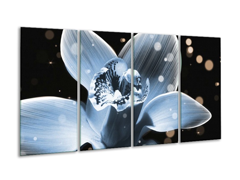 Canvas schilderij Iris | Blauw, Zwart | 160x80cm 4Luik