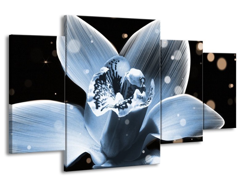 Canvas schilderij Iris | Blauw, Zwart | 160x90cm 4Luik