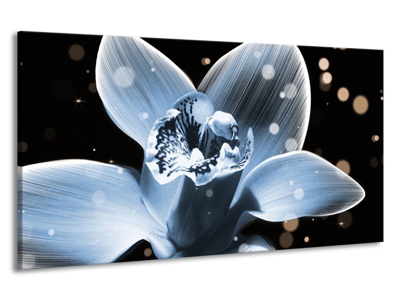 Canvas schilderij Iris | Blauw, Zwart | 190x100cm 1Luik