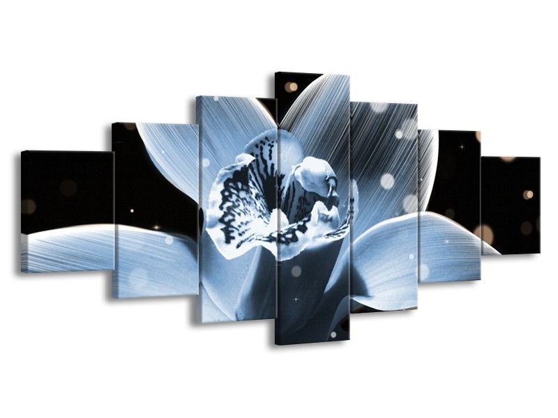 Canvas schilderij Iris | Blauw, Zwart | 210x100cm 7Luik