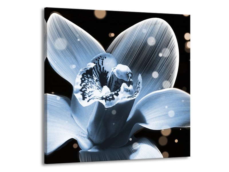 Canvas schilderij Iris | Blauw, Zwart | 50x50cm 1Luik