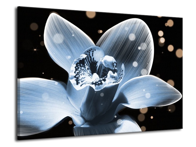 Canvas schilderij Iris | Blauw, Zwart | 70x50cm 1Luik