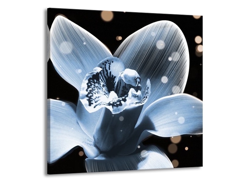 Canvas schilderij Iris | Blauw, Zwart | 70x70cm 1Luik