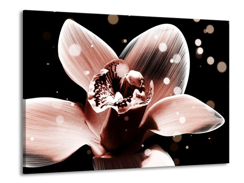 Canvas schilderij Iris | Bruin, Zwart | 100x70cm 1Luik
