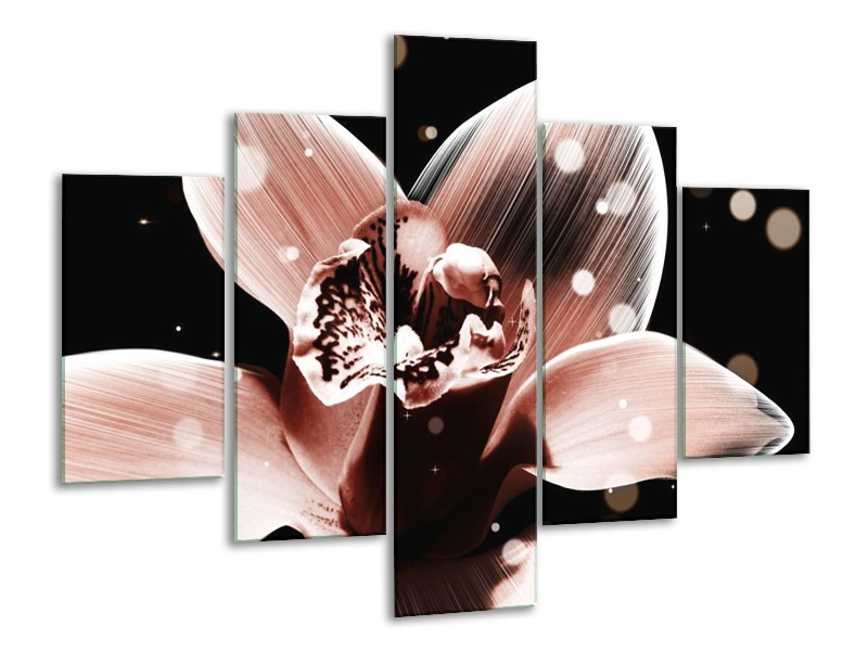 Canvas schilderij Iris | Bruin, Zwart | 100x70cm 5Luik