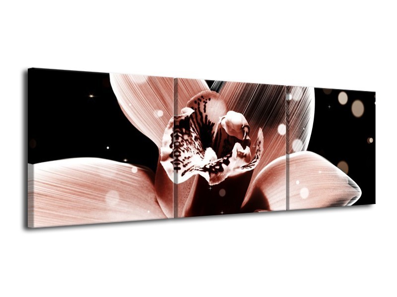 Canvas schilderij Iris | Bruin, Zwart | 120x40cm 3Luik