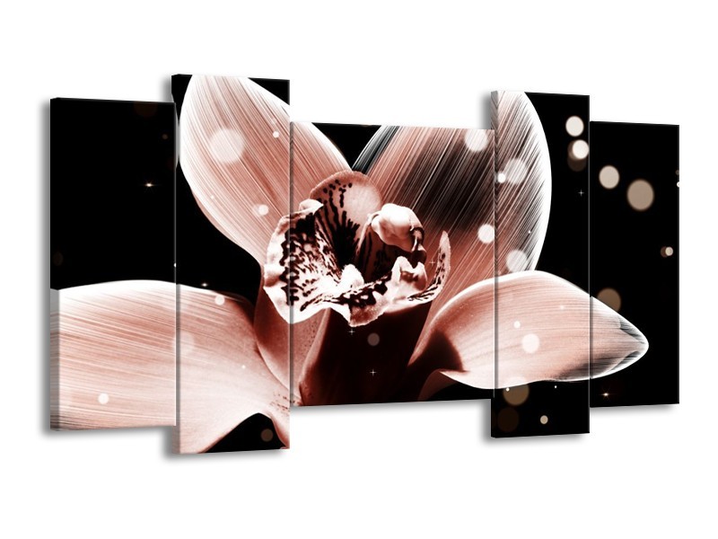 Canvas schilderij Iris | Bruin, Zwart | 120x65 5Luik