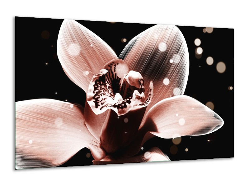 Canvas schilderij Iris | Bruin, Zwart | 120x70cm 1Luik