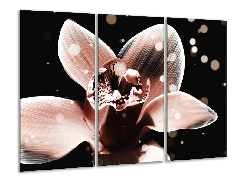 Canvas schilderij Iris | Bruin, Zwart | 120x80cm 3Luik