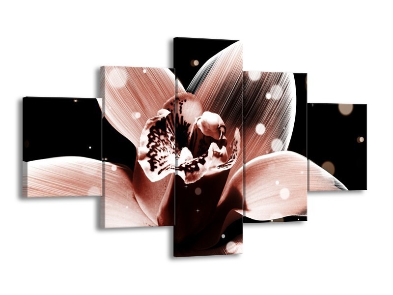 Canvas schilderij Iris | Bruin, Zwart | 125x70cm 5Luik