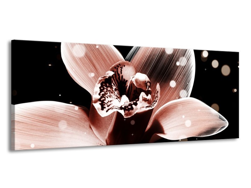 Canvas schilderij Iris | Bruin, Zwart | 145x58cm 1Luik