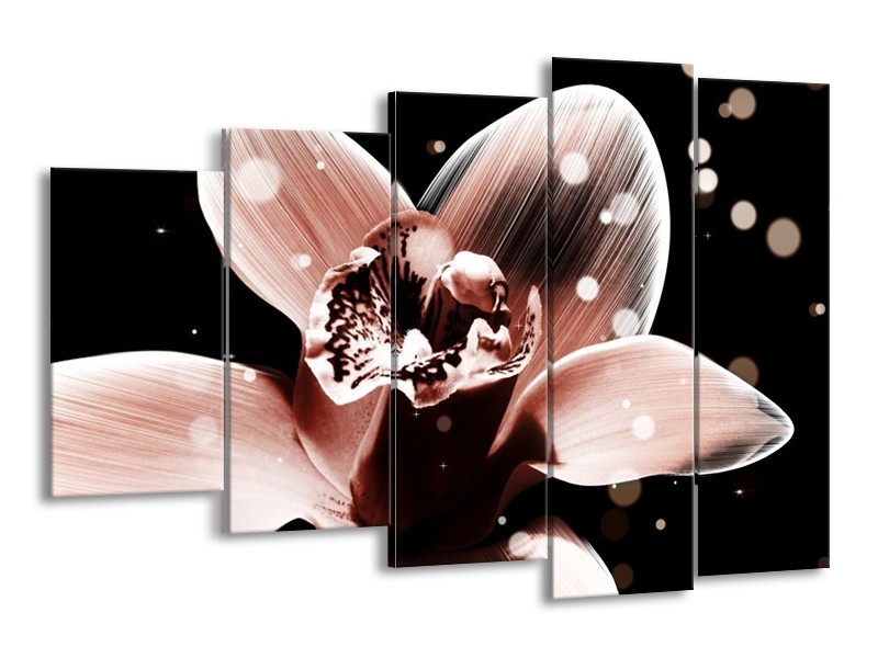 Canvas schilderij Iris | Bruin, Zwart | 150x100cm 5Luik