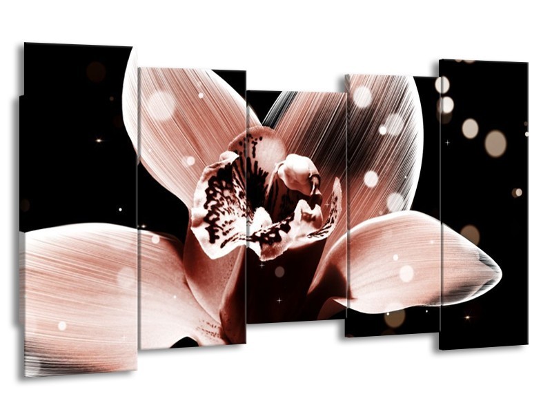 Canvas schilderij Iris | Bruin, Zwart | 150x80cm 5Luik
