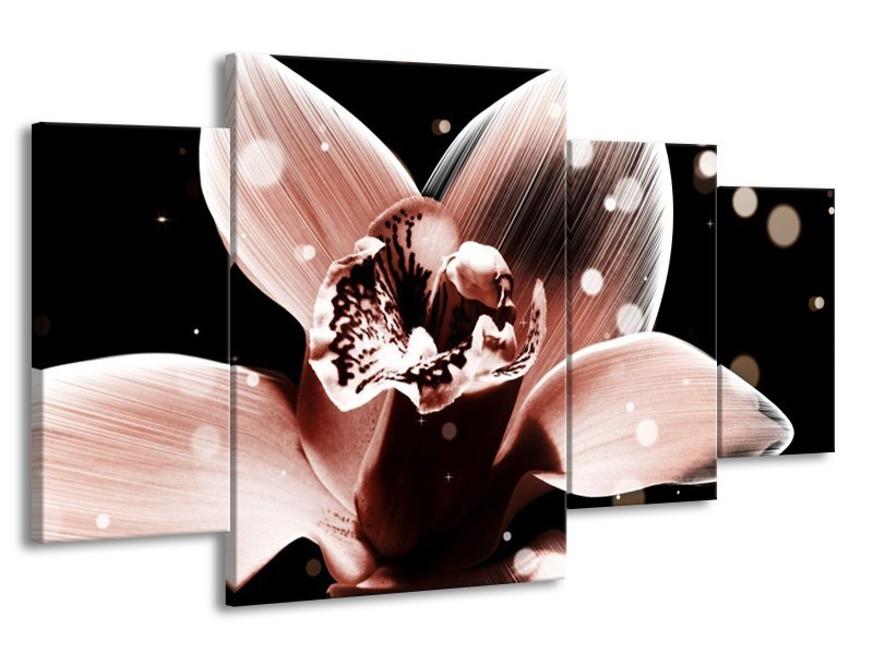 Canvas schilderij Iris | Bruin, Zwart | 160x90cm 4Luik