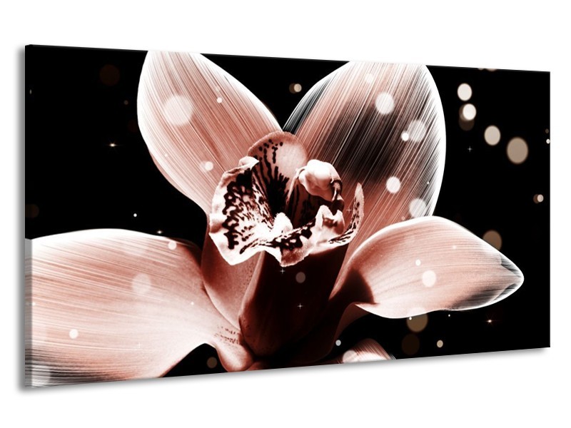 Canvas schilderij Iris | Bruin, Zwart | 190x100cm 1Luik
