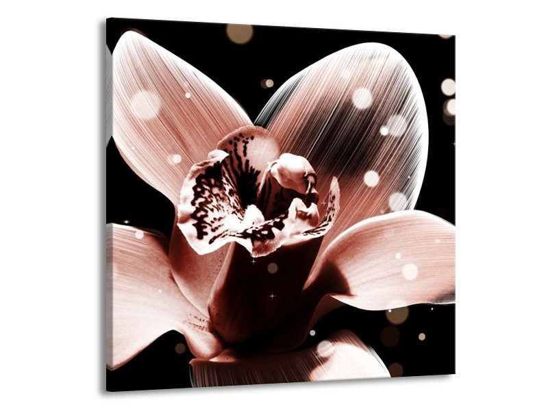 Canvas schilderij Iris | Bruin, Zwart | 50x50cm 1Luik