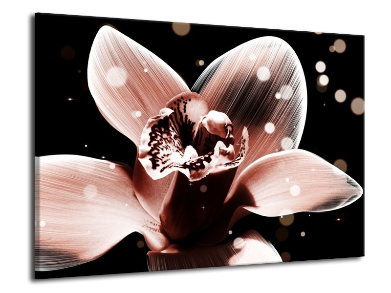 Canvas schilderij Iris | Bruin, Zwart | 70x50cm 1Luik