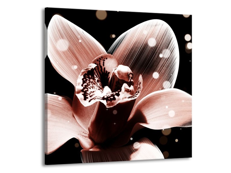 Canvas schilderij Iris | Bruin, Zwart | 70x70cm 1Luik