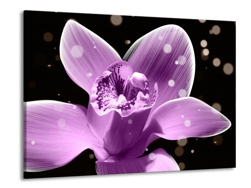 Canvas schilderij Iris | Paars, Zwart | 100x70cm 1Luik