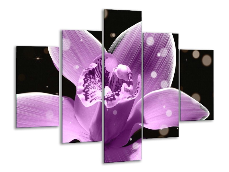 Canvas schilderij Iris | Paars, Zwart | 100x70cm 5Luik