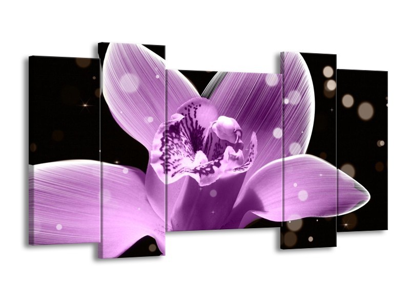 Canvas schilderij Iris | Paars, Zwart | 120x65 5Luik