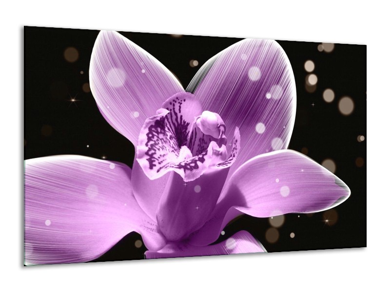 Canvas schilderij Iris | Paars, Zwart | 120x70cm 1Luik