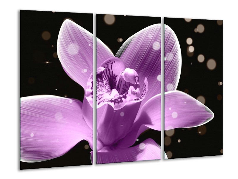 Canvas schilderij Iris | Paars, Zwart | 120x80cm 3Luik