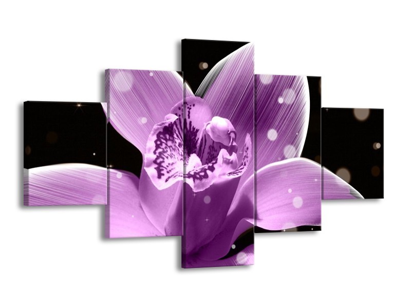 Canvas schilderij Iris | Paars, Zwart | 125x70cm 5Luik