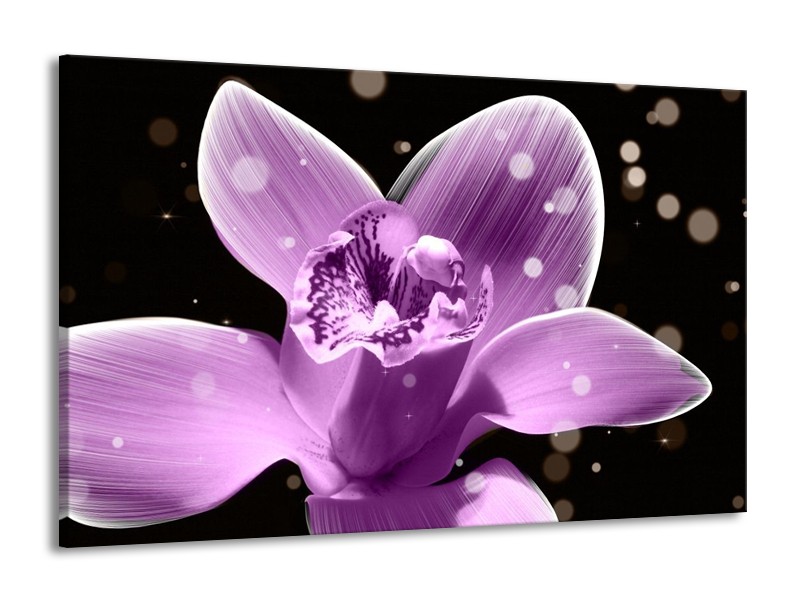Canvas schilderij Iris | Paars, Zwart | 140x90cm 1Luik