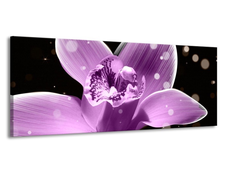 Canvas schilderij Iris | Paars, Zwart | 145x58cm 1Luik
