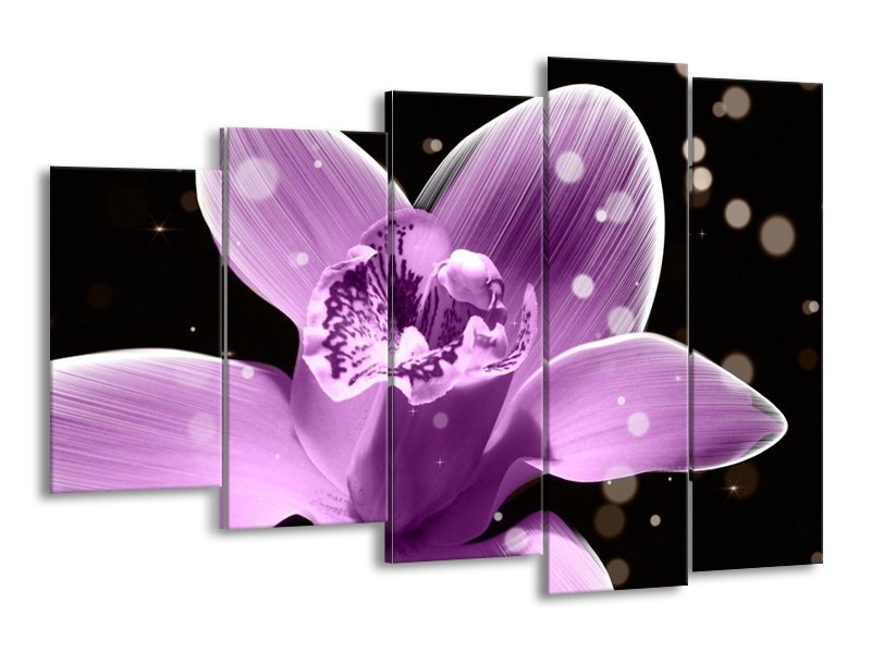 Canvas schilderij Iris | Paars, Zwart | 150x100cm 5Luik