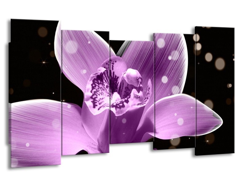 Canvas schilderij Iris | Paars, Zwart | 150x80cm 5Luik