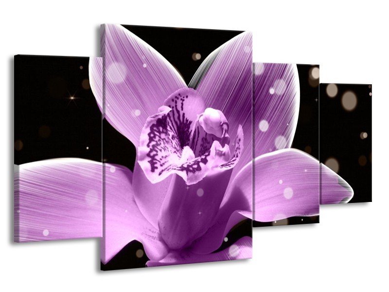 Canvas schilderij Iris | Paars, Zwart | 160x90cm 4Luik