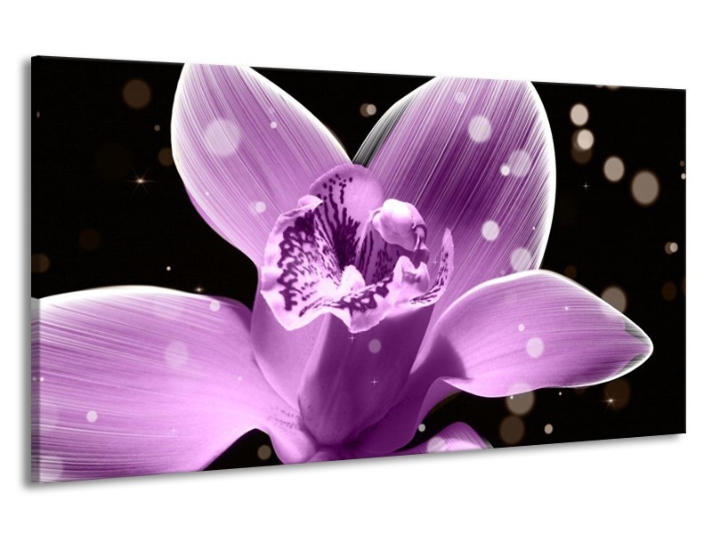 Canvas schilderij Iris | Paars, Zwart | 190x100cm 1Luik