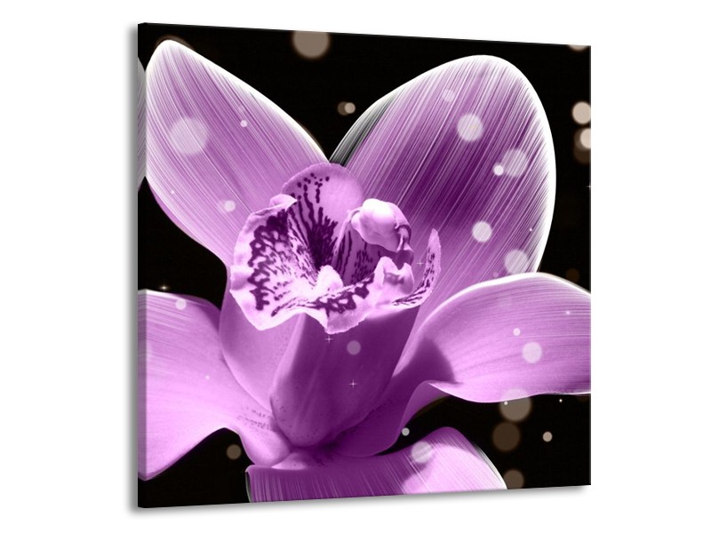 Canvas schilderij Iris | Paars, Zwart | 50x50cm 1Luik