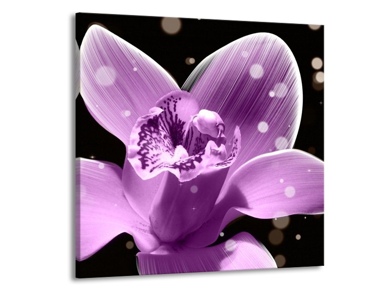 Canvas schilderij Iris | Paars, Zwart | 70x70cm 1Luik
