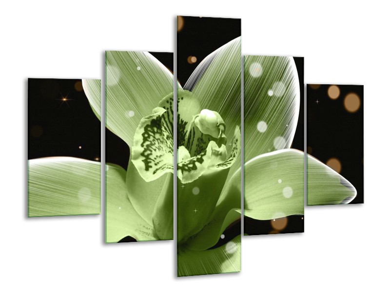 Canvas schilderij Iris | Groen, Zwart | 100x70cm 5Luik