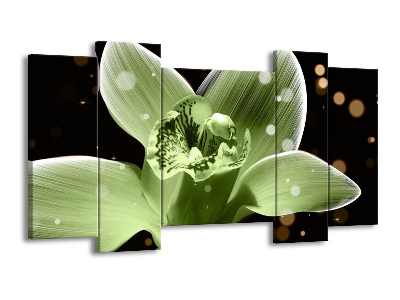 Canvas schilderij Iris | Groen, Zwart | 120x65 5Luik