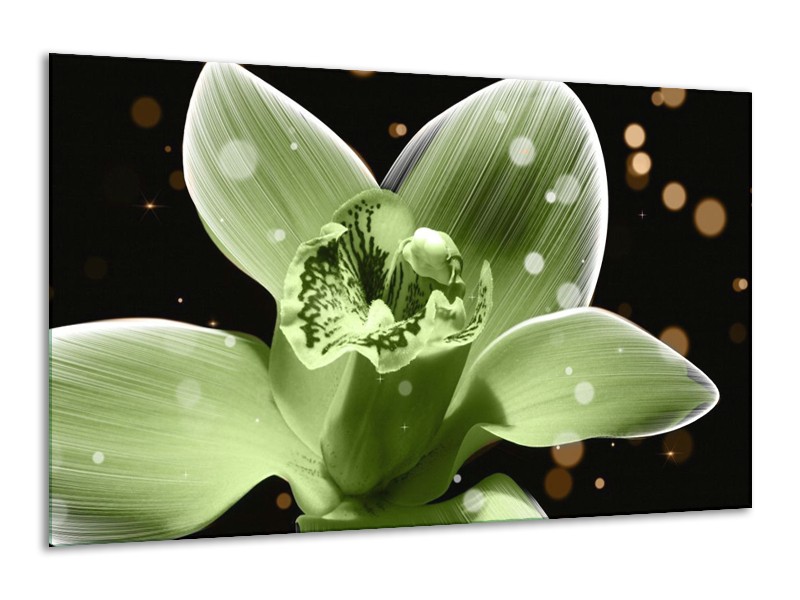 Canvas schilderij Iris | Groen, Zwart | 120x70cm 1Luik