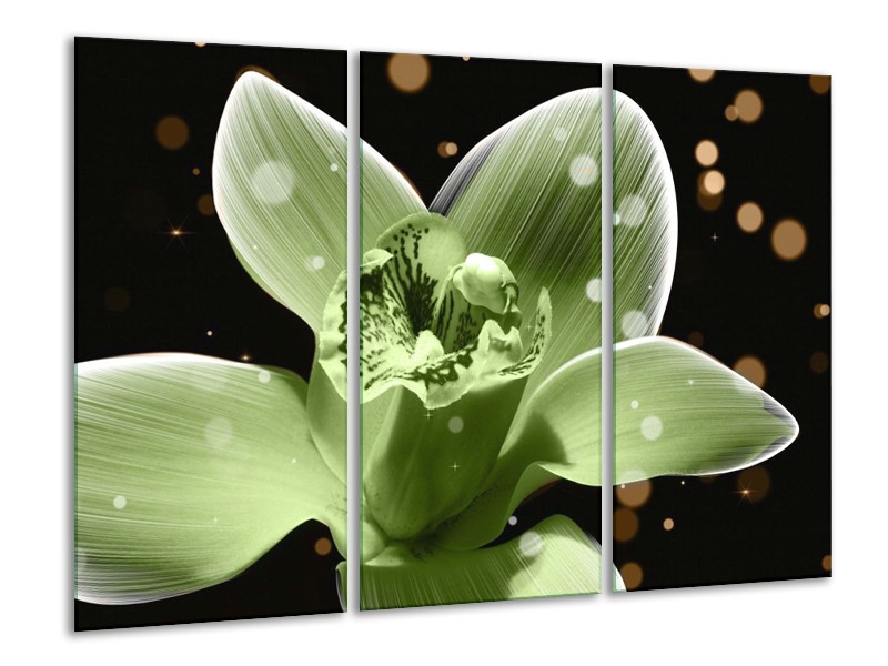 Canvas schilderij Iris | Groen, Zwart | 120x80cm 3Luik