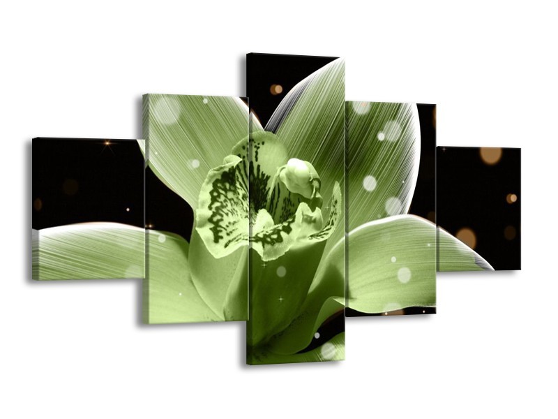 Canvas schilderij Iris | Groen, Zwart | 125x70cm 5Luik