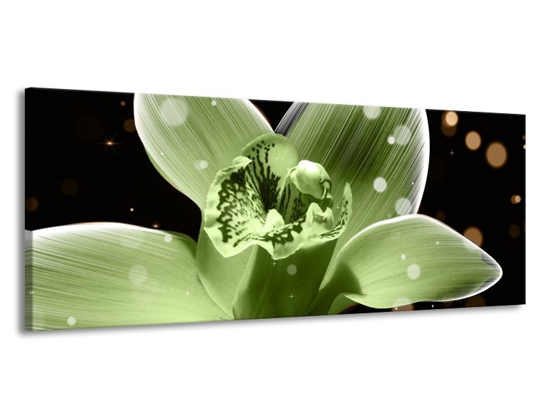 Canvas schilderij Iris | Groen, Zwart | 145x58cm 1Luik