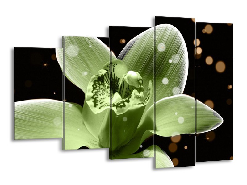 Canvas schilderij Iris | Groen, Zwart | 150x100cm 5Luik