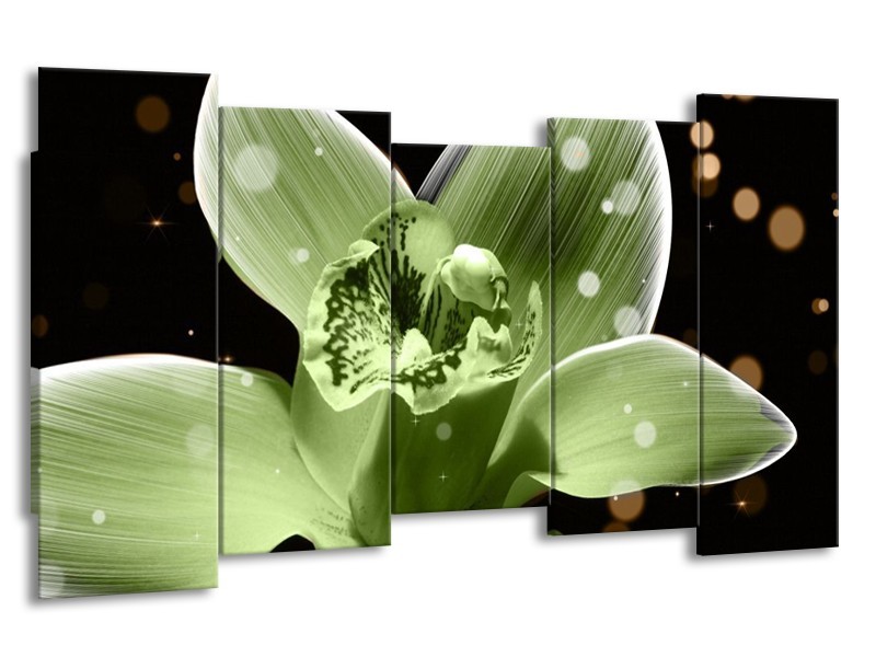 Canvas schilderij Iris | Groen, Zwart | 150x80cm 5Luik